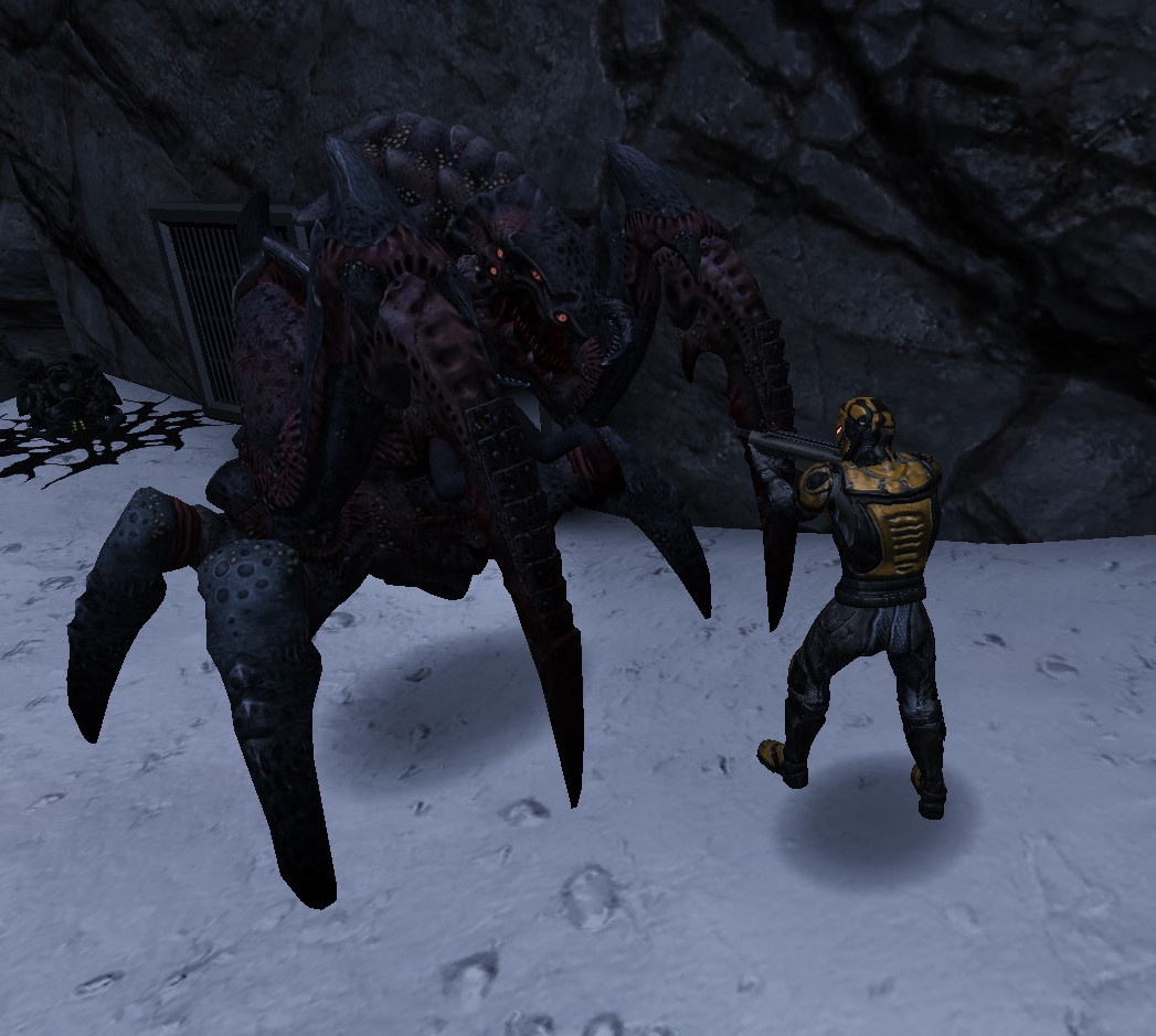 Unvanquished Tyrant near LA.jpg