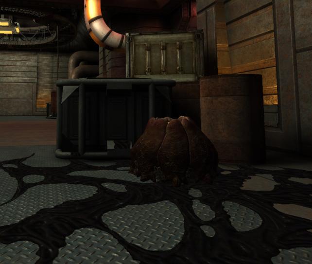 2021-11-Egg hatched.jpg