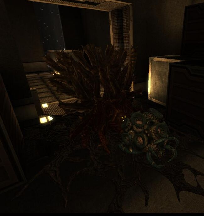 2021-11-Barricade on door with Acid Tube.jpg