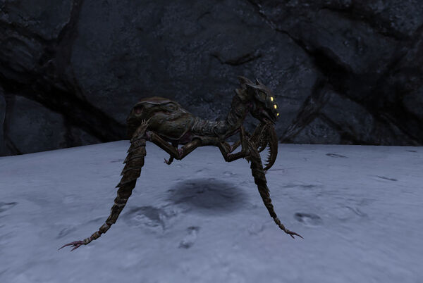 Unvanquished 2021-11-Mantis right on ice.jpg