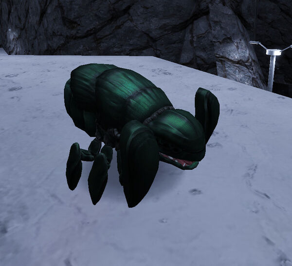 Unvanquished 2021-11-Granger on ice-2.jpg