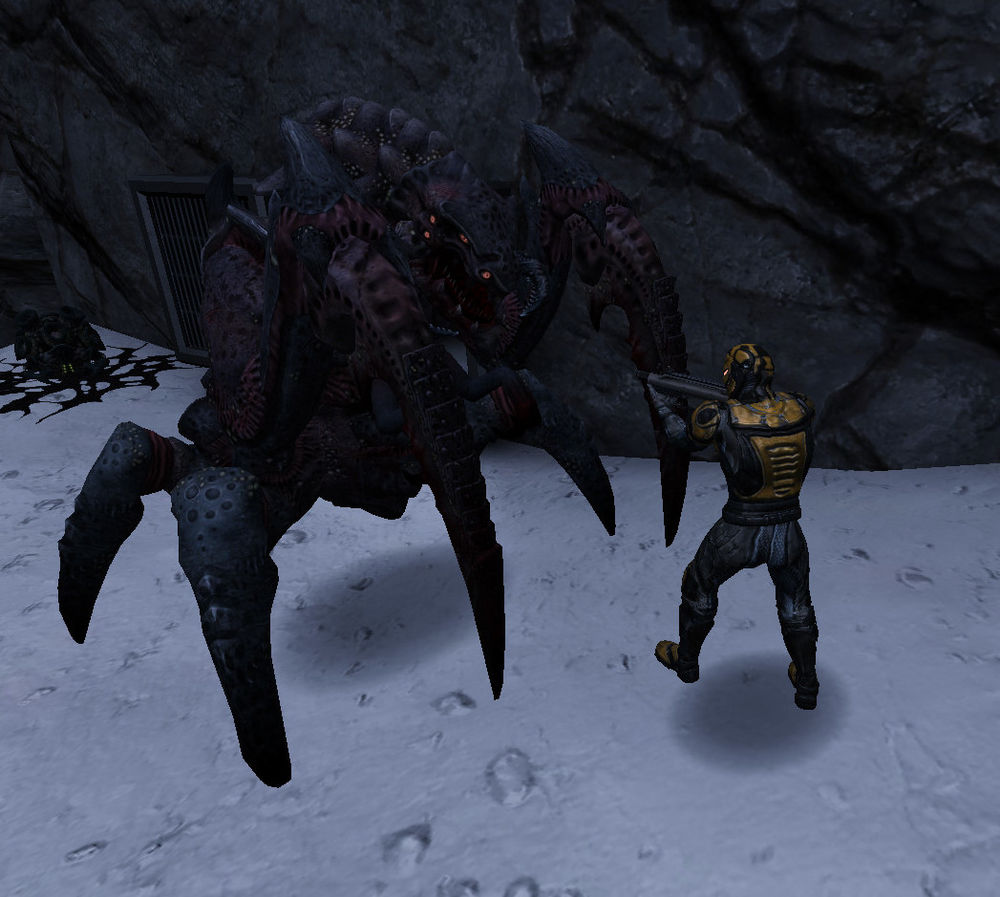 Unvanquished Tyrant near LA.jpg