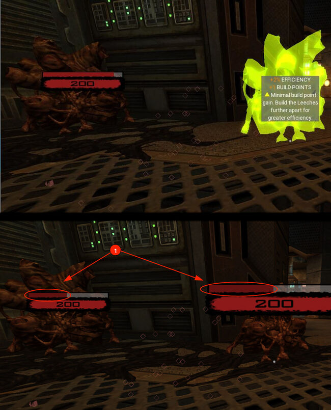 2021-11-Leeches close.jpg